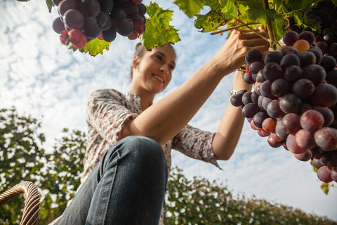 Donec vitae auctor ligula, eu elementum mi